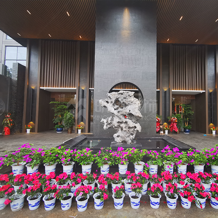 酒店的花怎么擺放？教你酒店花卉設(shè)計(jì)知識(shí)
